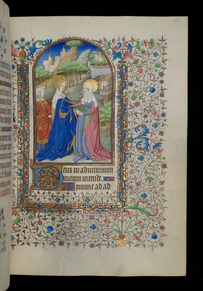 Odwiedziny autorstwa Master Dunois