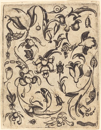 Ornament autorstwa Master T.F.