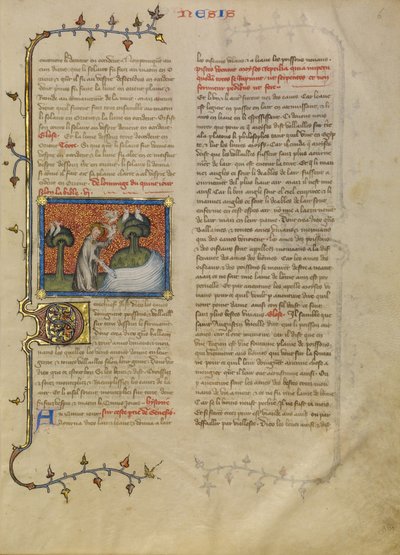 Stworzenie ptaków i ryb autorstwa Master of Jean de Mandeville