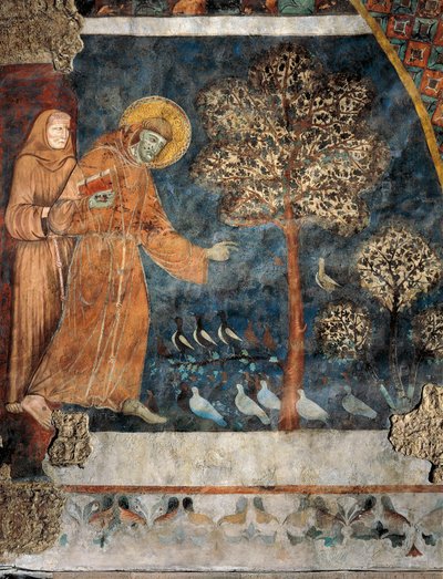 Nauczanie ptaków autorstwa Master of Saint Francis of Assisi