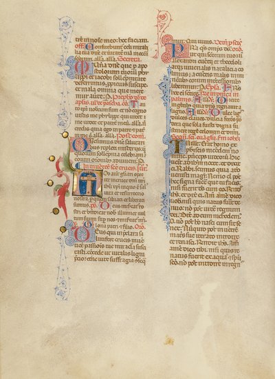 Inicjał N: Krzyż autorstwa Master of the Brussels Initials