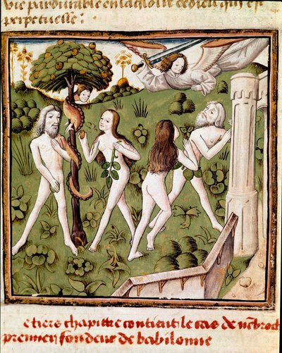 Adam i Ewa zbierają obroniony owoc Miniatura Mistrza Czempionki Dam (XV w.) z rękopisu „Des hommes illustres” Giovanniego Boccaccio (Jeana Boccaccio) (1313-1375). XV wiek. Stolarz. Biblioteka Inguimbertine autorstwa Master of the Champion des Dames