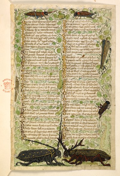 Dodać. 28841, f.2: chrząszcze rogate, świerszcze i locus.  Traktat o cnotach i wadach oraz anonimowa proza historia Sycylii (fragment)  Cocharelli autorstwa Master of the Cocharelli Codex