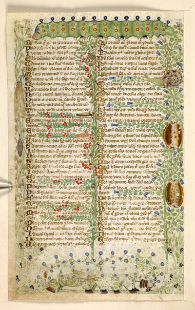 Dodać. 28841, f.2v: Gąsienice, ślimaki i inne owady, z traktatu o cnotach i wadach oraz anonimowa historia prozy Sycylii (fragment), ok. 1330-40 (welum) autorstwa Master of the Cocharelli Codex