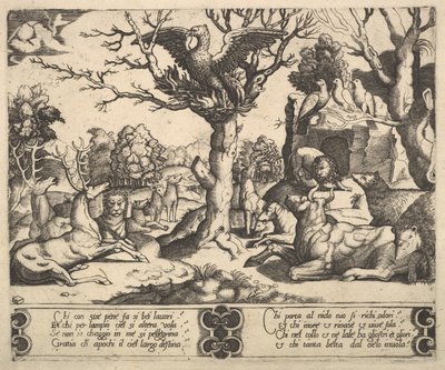 Na drzewie siedział feniks z rozłożonymi skrzydłami, poniżej kilka zwierząt, 1530-60. autorstwa Master of the Die