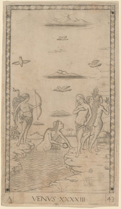 Wenus autorstwa Master of the E Series Tarocchi