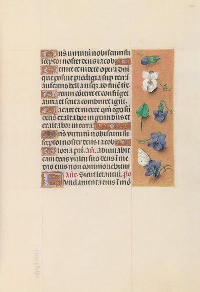 Godziny królowej Izabeli Katolickiej, królowej Hiszpanii: Fol. 106r, ok. 1500. autorstwa Master of the First Prayerbook of Maximillian