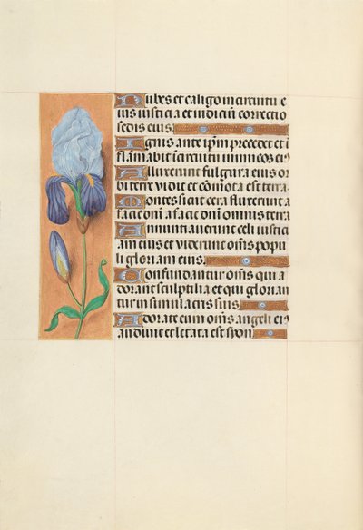 Godziny królowej Izabeli Katolickiej, królowej Hiszpanii: Fol. 108v, ok. 1500. autorstwa Master of the First Prayerbook of Maximillian