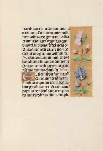 Godziny królowej Izabeli Katolickiej, królowej Hiszpanii: Fol. 111r, ok. 1500. autorstwa Master of the First Prayerbook of Maximillian