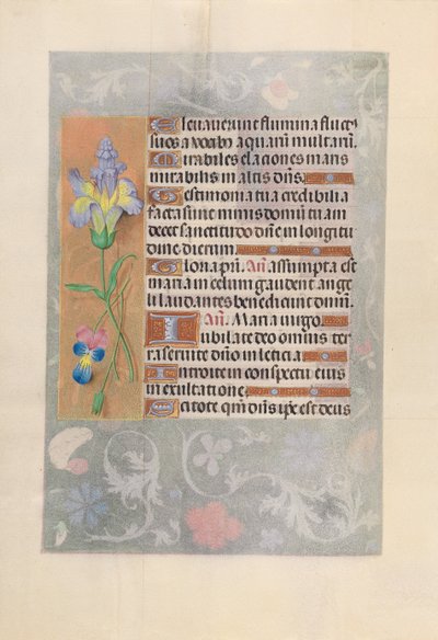 Godziny królowej Izabeli Katolickiej, królowej Hiszpanii: Fol. 116v, ok. 1500. autorstwa Master of the First Prayerbook of Maximillian
