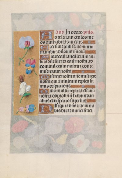Godziny królowej Izabeli Katolickiej, królowej Hiszpanii: Fol. 137v, ok. 1500. autorstwa Master of the First Prayerbook of Maximillian