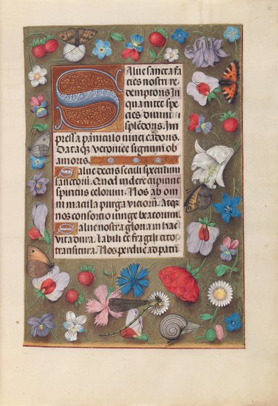 Godziny królowej Izabeli Katolickiej, królowej Hiszpanii: Fol. 15r, ok. 1500. autorstwa Master of the First Prayerbook of Maximillian