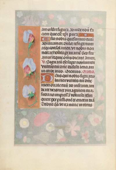 Godziny królowej Izabeli Katolickiej, królowej Hiszpanii: Fol. 15v, ok. 1500. autorstwa Master of the First Prayerbook of Maximillian