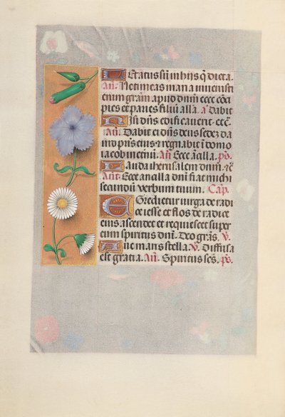 Godziny królowej Izabeli Katolickiej, królowej Hiszpanii: Fol. 160v, ok. 1500. autorstwa Master of the First Prayerbook of Maximillian