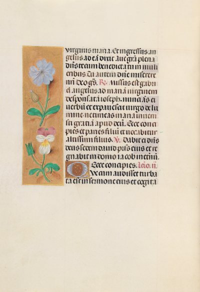 Godziny królowej Izabeli Katolickiej, królowej Hiszpanii: Fol. 162v, ok. 1500. autorstwa Master of the First Prayerbook of Maximillian