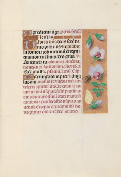 Godziny królowej Izabeli Katolickiej, królowej Hiszpanii: Fol. 165r, ok. 1500. autorstwa Master of the First Prayerbook of Maximillian