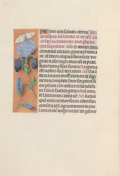 Godziny królowej Izabeli Katolickiej, królowej Hiszpanii: Fol. 165v, ok. 1500. autorstwa Master of the First Prayerbook of Maximillian
