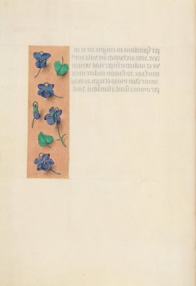 Godziny królowej Izabeli Katolickiej, królowej Hiszpanii: Fol. 16v, Krótka ramka, c. 1500. autorstwa Master of the First Prayerbook of Maximillian