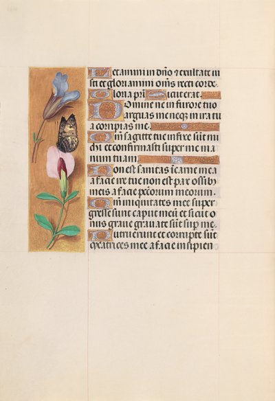 Godziny królowej Izabeli Katolickiej, królowej Hiszpanii: Fol. 202v, ok. 1500. autorstwa Master of the First Prayerbook of Maximillian
