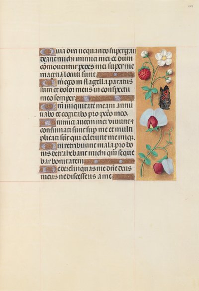 Godziny królowej Izabeli Katolickiej, królowej Hiszpanii: Fol. 204r, ok. 1500. autorstwa Master of the First Prayerbook of Maximillian