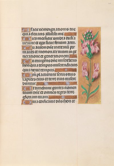 Godziny królowej Izabeli Katolickiej, królowej Hiszpanii: Fol. 207r, ok. 1500. autorstwa Master of the First Prayerbook of Maximillian