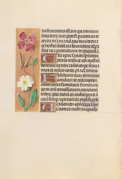 Godziny królowej Izabeli Katolickiej, królowej Hiszpanii: Fol. 217v, ok. 1500. autorstwa Master of the First Prayerbook of Maximillian