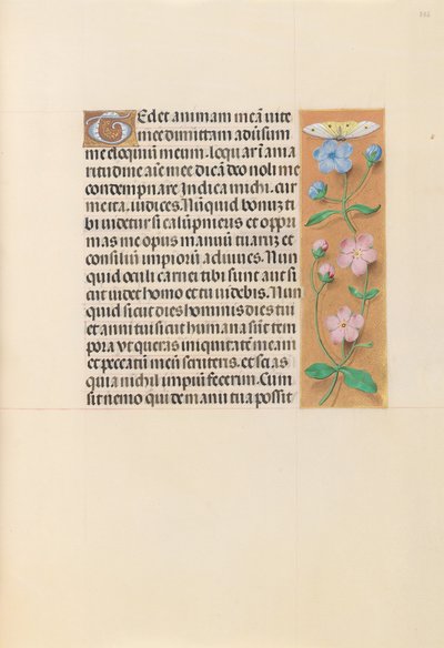 Godzinki królowej Izabeli Katolickiej, królowej Hiszpanii:  Fol. 232r autorstwa Master of the First Prayerbook of Maximillian