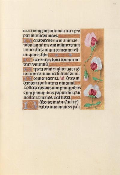 Godziny królowej Izabeli Katolickiej, królowej Hiszpanii: Fol. 237r, ok. 1500. autorstwa Master of the First Prayerbook of Maximillian