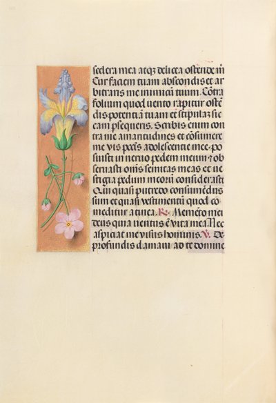 Godziny królowej Izabeli Katolickiej, królowej Hiszpanii: Fol. 237v, ok. 1500. autorstwa Master of the First Prayerbook of Maximillian