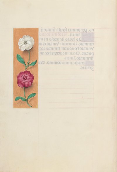 Godzinki królowej Izabeli Katolickiej, królowej Hiszpanii:  Fol. 23v autorstwa Master of the First Prayerbook of Maximillian