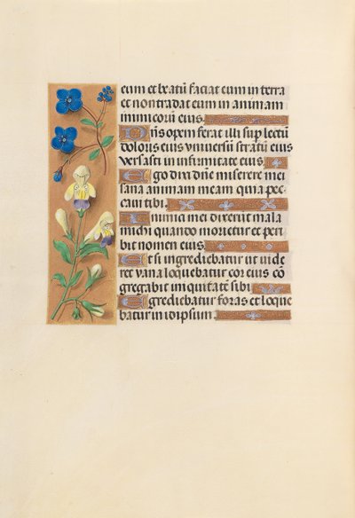 Godziny królowej Izabeli Katolickiej, królowej Hiszpanii: Fol. 241v, ok. 1500. autorstwa Master of the First Prayerbook of Maximillian