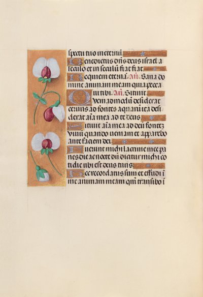 Godziny królowej Izabeli Katolickiej, królowej Hiszpanii: Fol. 242v, ok. 1500. autorstwa Master of the First Prayerbook of Maximillian