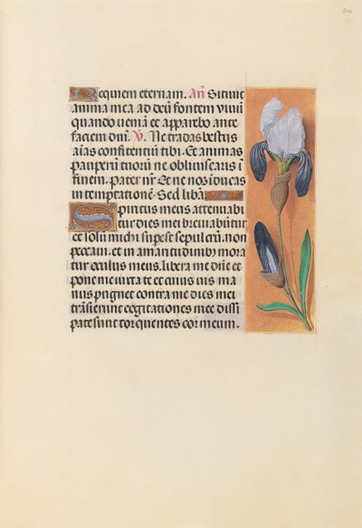 Godziny królowej Izabeli Katolickiej, królowej Hiszpanii: Fol. 244r, ok. 1500. autorstwa Master of the First Prayerbook of Maximillian