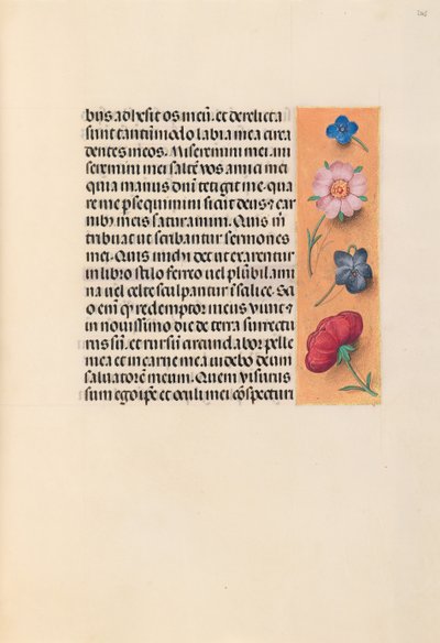 Godziny królowej Izabeli Katolickiej, królowej Hiszpanii: Fol. 245r, ok. 1500. autorstwa Master of the First Prayerbook of Maximillian