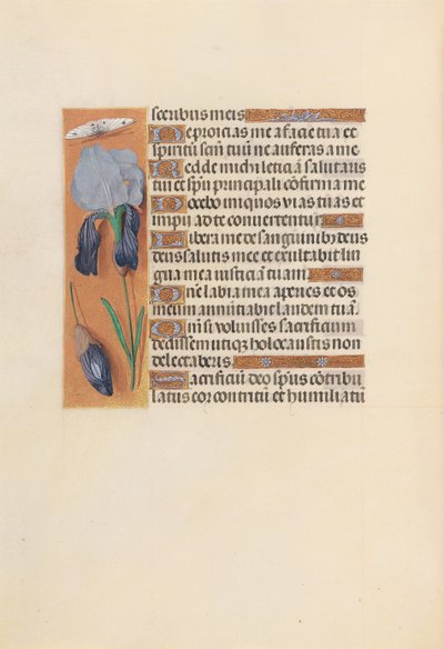 Godziny królowej Izabeli Katolickiej, królowej Hiszpanii: Fol. 247v, ok. 1500. autorstwa Master of the First Prayerbook of Maximillian