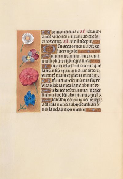 Godziny królowej Izabeli Katolickiej, królowej Hiszpanii: Fol. 249v, ok. 1500. autorstwa Master of the First Prayerbook of Maximillian