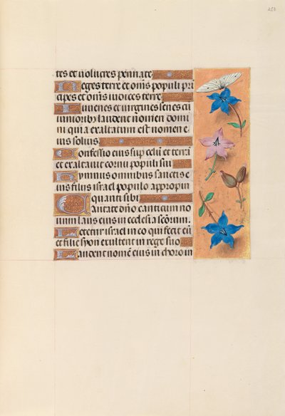 Godziny królowej Izabeli Katolickiej, królowej Hiszpanii: Fol. 253r, ok. 1500. autorstwa Master of the First Prayerbook of Maximillian