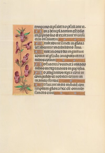 Godziny królowej Izabeli Katolickiej, królowej Hiszpanii: Fol. 253v, ok. 1500. autorstwa Master of the First Prayerbook of Maximillian