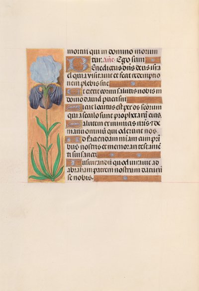 Godziny królowej Izabeli Katolickiej, królowej Hiszpanii: Fol. 254v, ok. 1500. autorstwa Master of the First Prayerbook of Maximillian