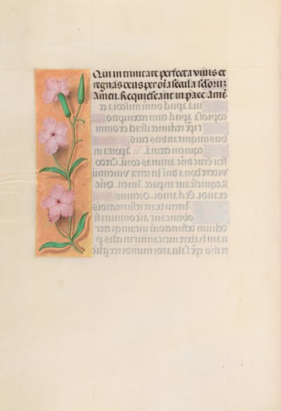 Godziny królowej Izabeli Katolickiej, królowej Hiszpanii: Fol. 256v, Dziewica z Dzieciątkiem, c. 1500. autorstwa Master of the First Prayerbook of Maximillian