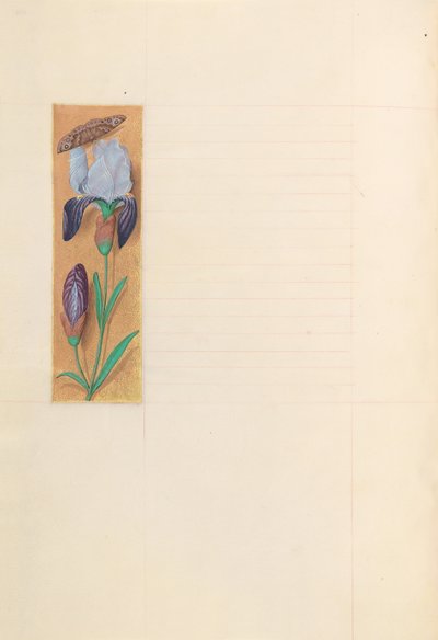 Godziny królowej Izabeli Katolickiej, królowej Hiszpanii: Fol. 277v, ok. 1500. autorstwa Master of the First Prayerbook of Maximillian