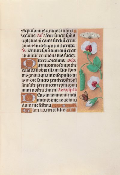 Godziny królowej Izabeli Katolickiej, królowej Hiszpanii: Fol. 35r, ok. 1500. autorstwa Master of the First Prayerbook of Maximillian