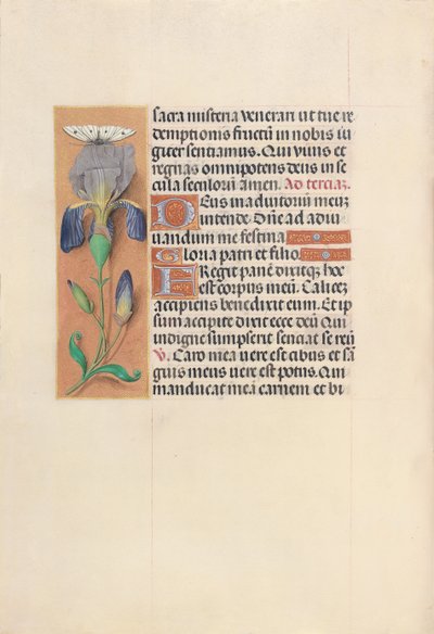 Godziny królowej Izabeli Katolickiej, królowej Hiszpanii: Fol. 45v, ok. 1500. autorstwa Master of the First Prayerbook of Maximillian