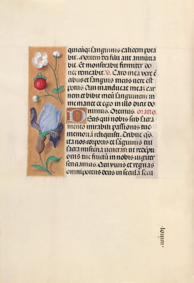 Godziny królowej Izabeli Katolickiej, królowej Hiszpanii: Fol. 46v, ok. 1500. autorstwa Master of the First Prayerbook of Maximillian