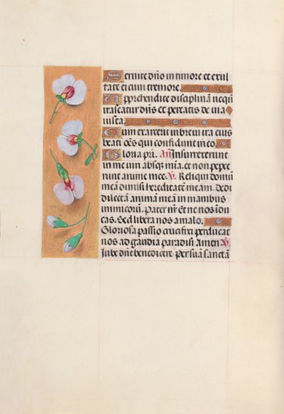 Godziny królowej Izabeli Katolickiej, królowej Hiszpanii: Fol. 53v, ok. 1500. autorstwa Master of the First Prayerbook of Maximillian