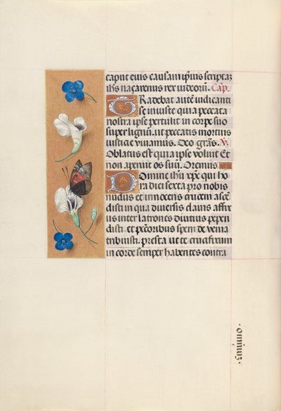 Godzinki królowej Izabeli Katolickiej, królowej Hiszpanii:  Fol. 67v autorstwa Master of the First Prayerbook of Maximillian
