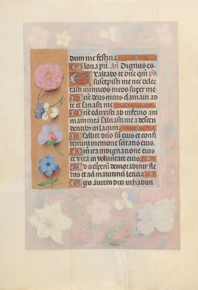 Godzinki królowej Izabeli Katolickiej, królowej Hiszpanii:  Fol. 73v autorstwa Master of the First Prayerbook of Maximillian