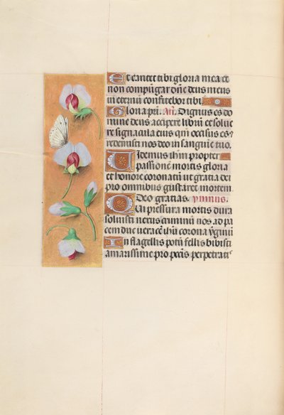Godziny królowej Izabeli Katolickiej, królowej Hiszpanii: Fol. 74v, ok. 1500. autorstwa Master of the First Prayerbook of Maximillian