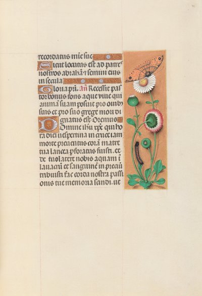 Godziny królowej Izabeli Katolickiej, królowej Hiszpanii: Fol. 76r, ok. 1500. autorstwa Master of the First Prayerbook of Maximillian