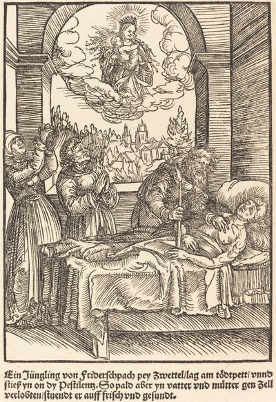 Młodzieniec z Friderschpach ... autorstwa Master of the Miracles of Mariazell
